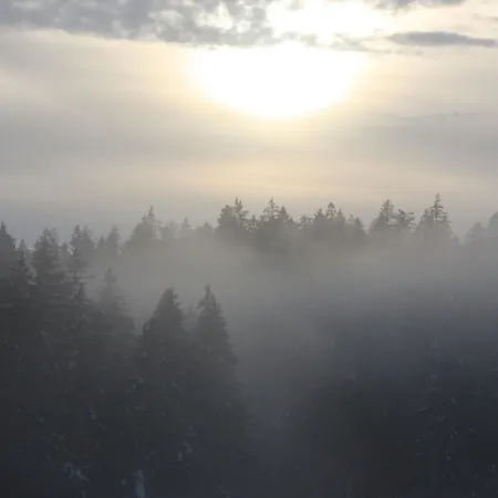 度假居 Spacious Holiday In Schimmelbach