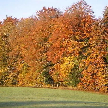 Spacious Holiday In Schimmelbach